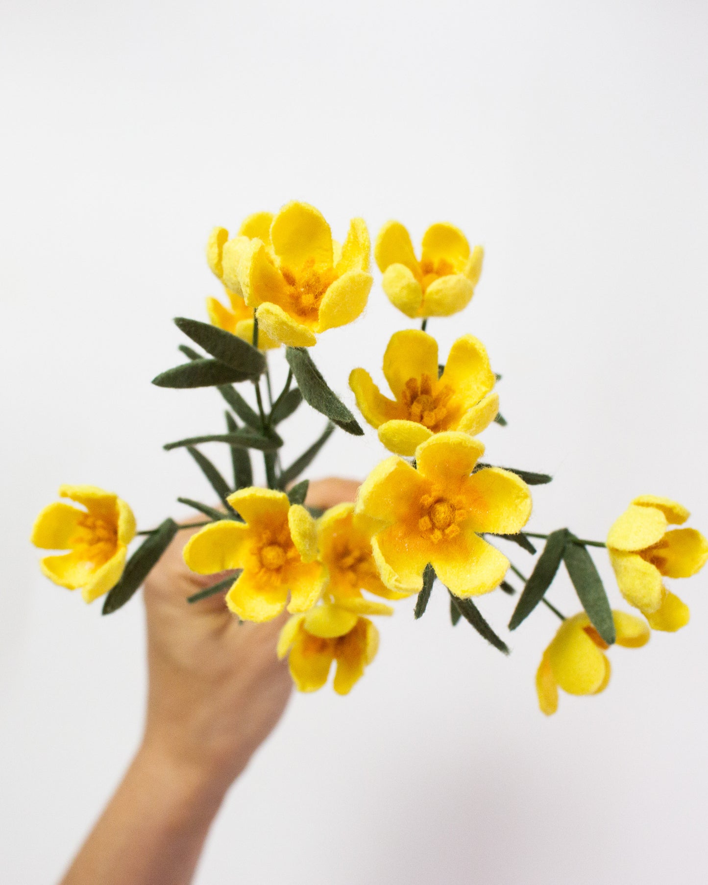 Buttercup Bunch