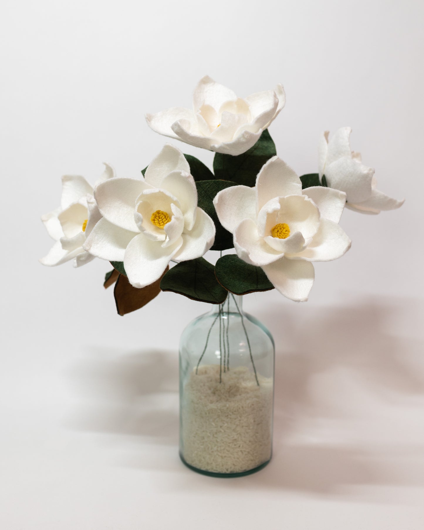Southern Magnolia Stem
