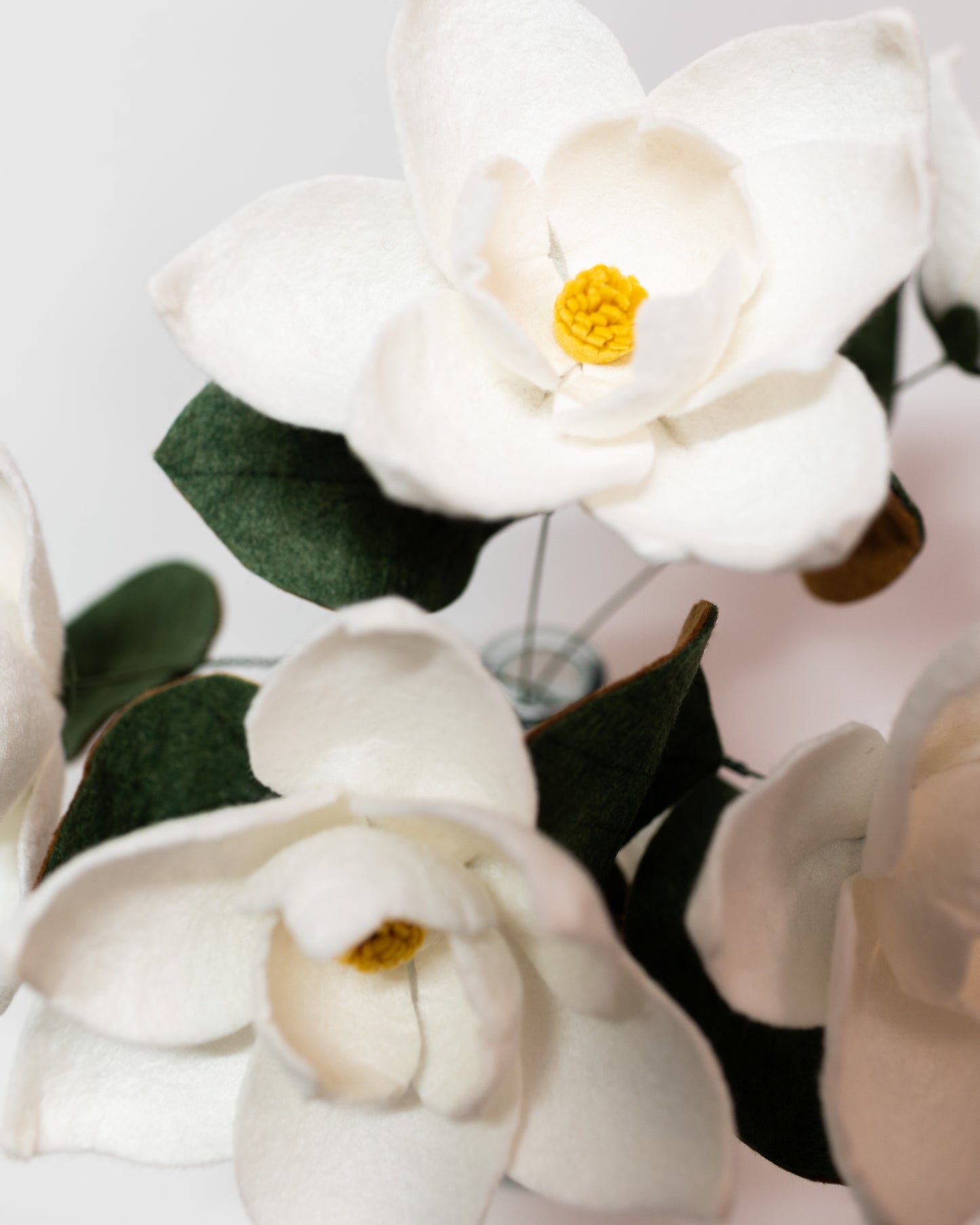 Southern Magnolia Stem