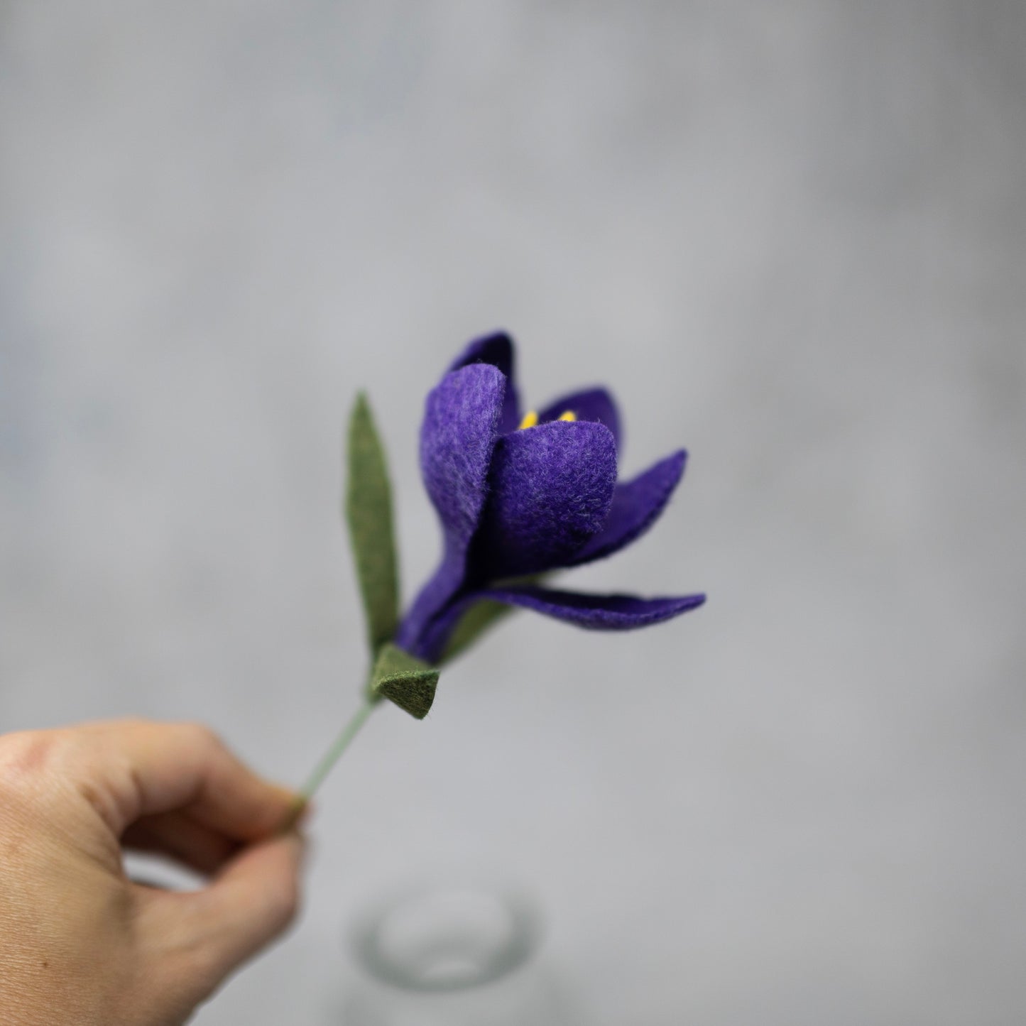 Crocus Stem