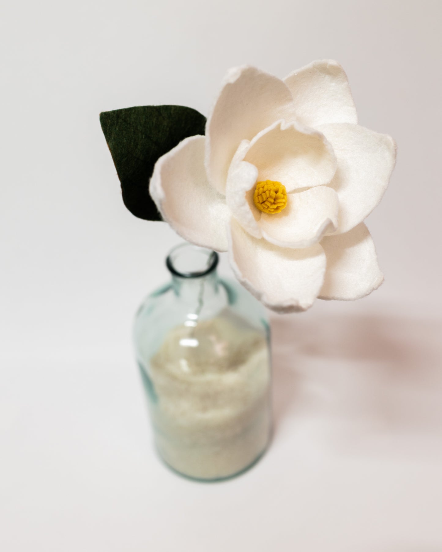 Southern Magnolia Stem