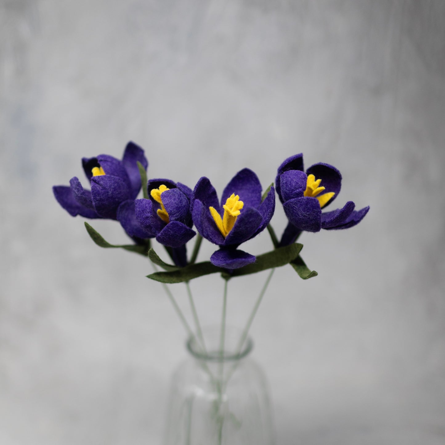 Crocus Stem