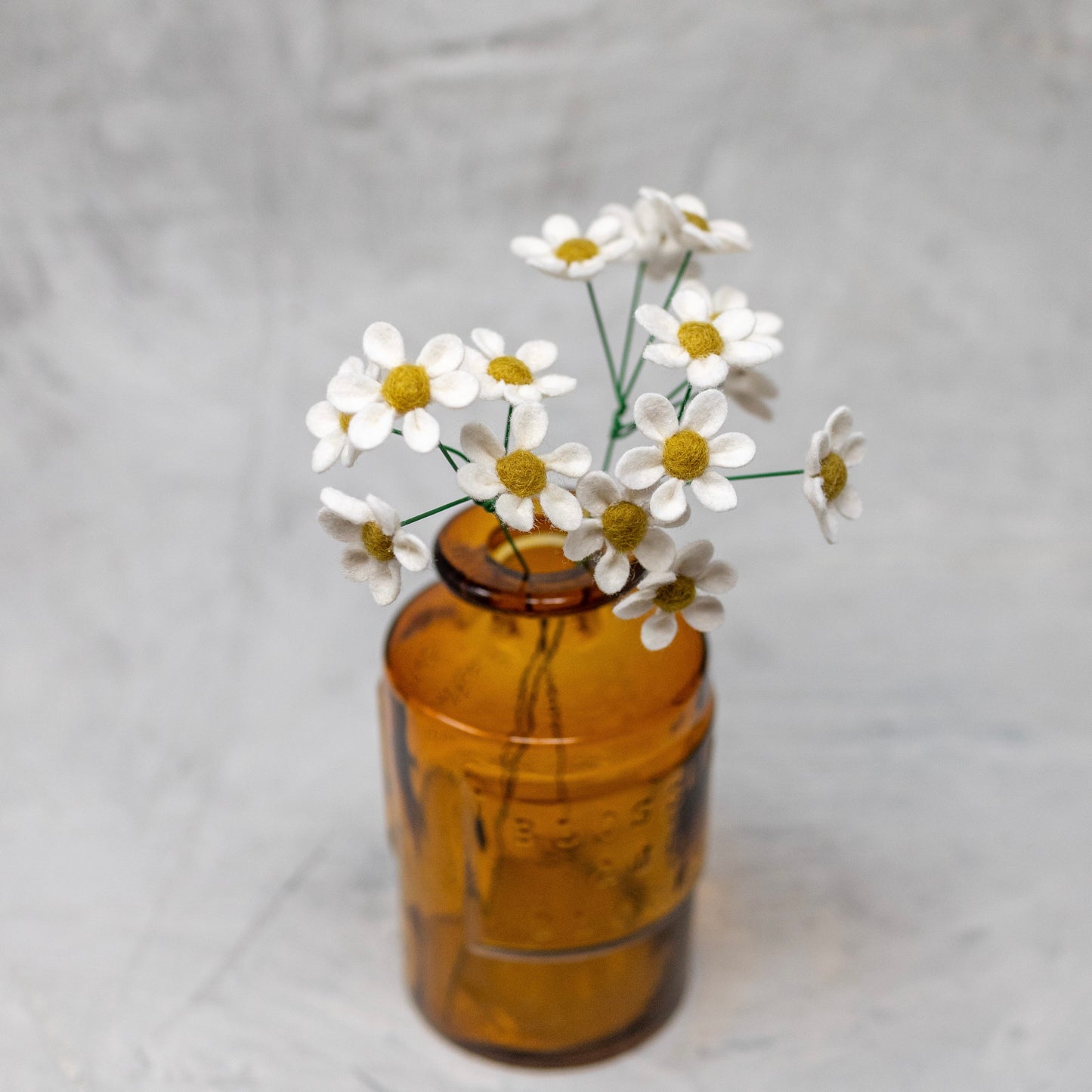Chamomile Daisy
