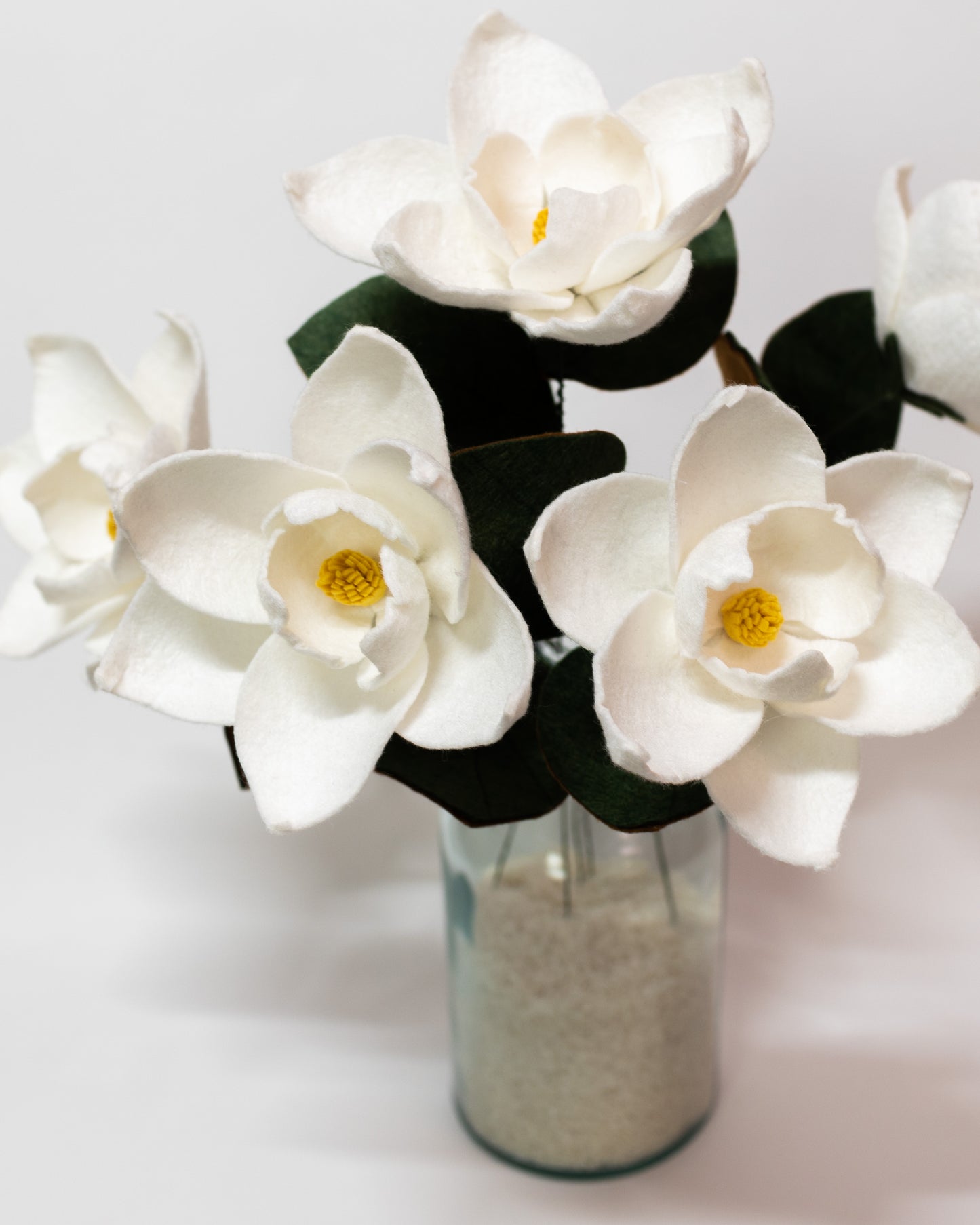 Southern Magnolia Stem