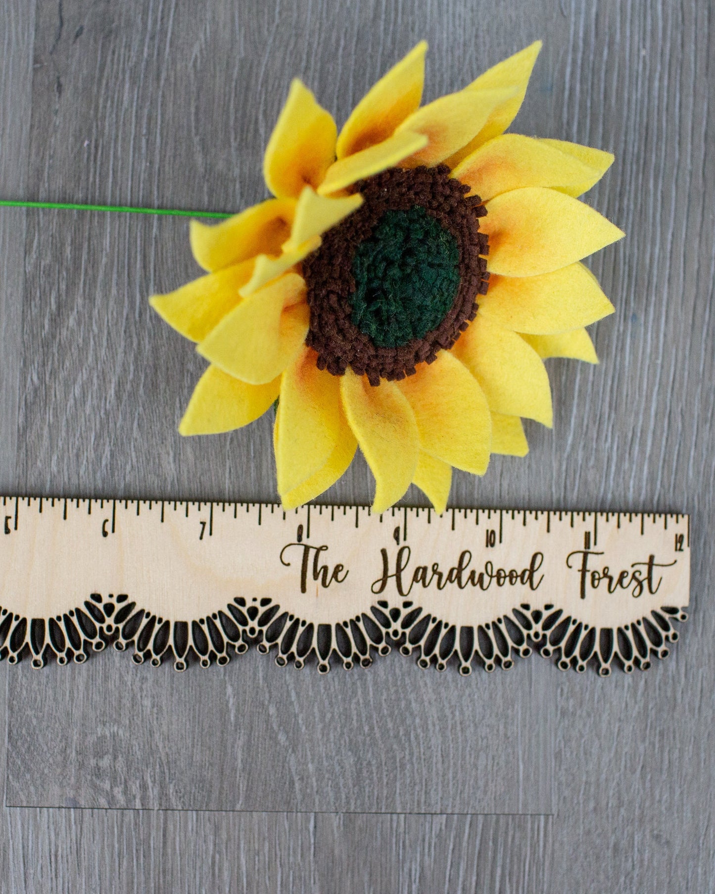 Sunflower Stem