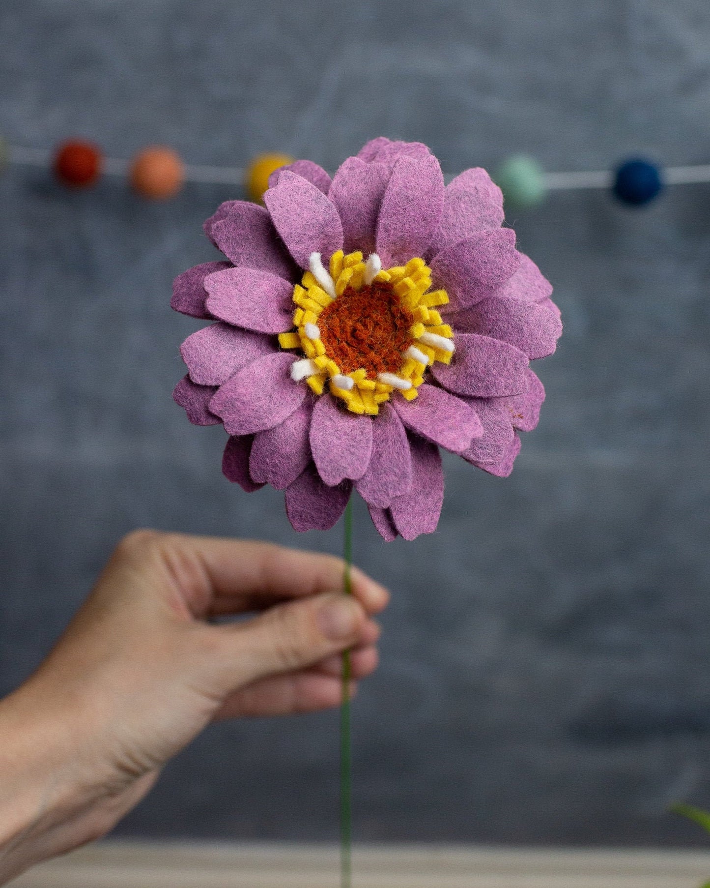 Open Zinnia Stem