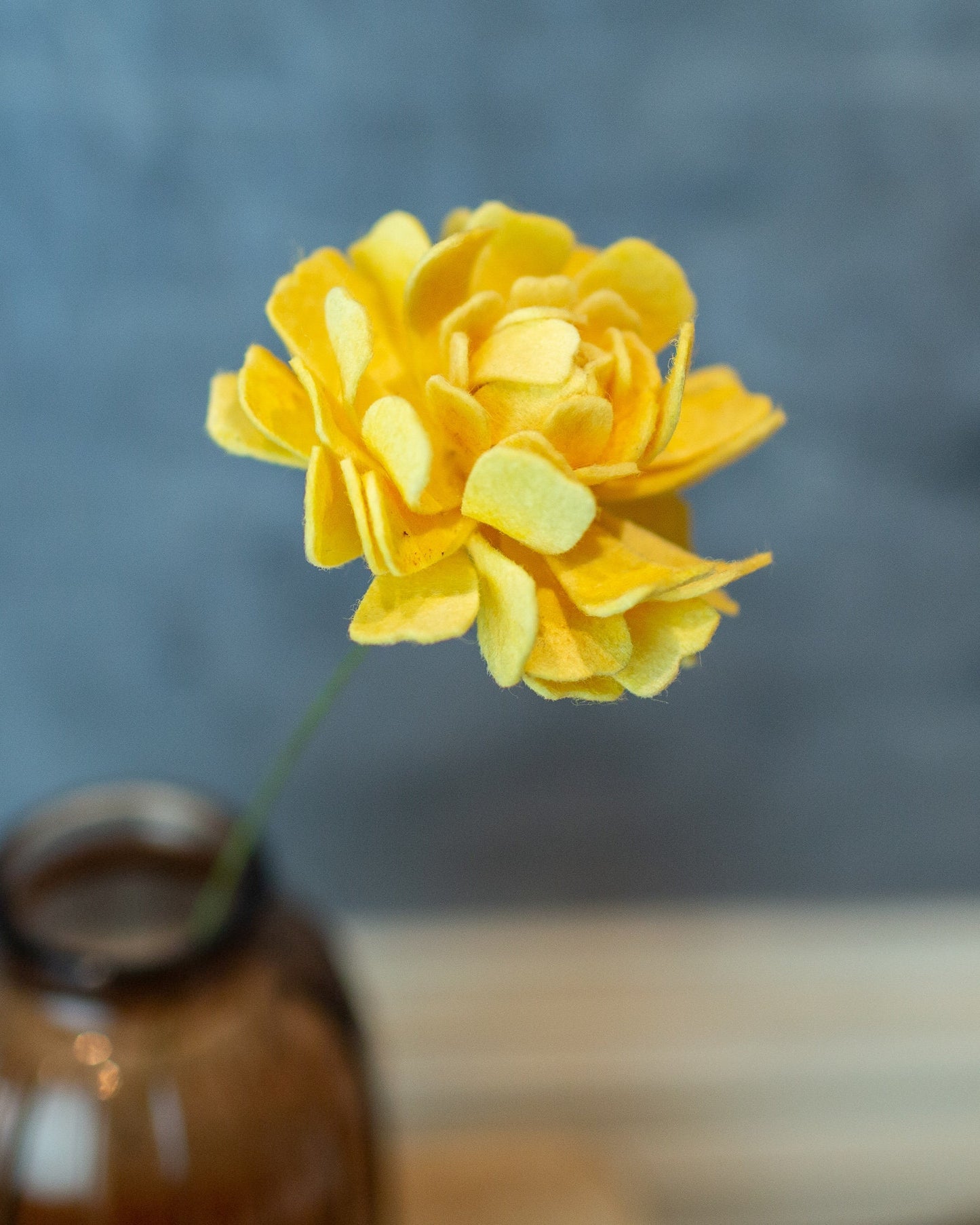 Closed Zinnia Stem