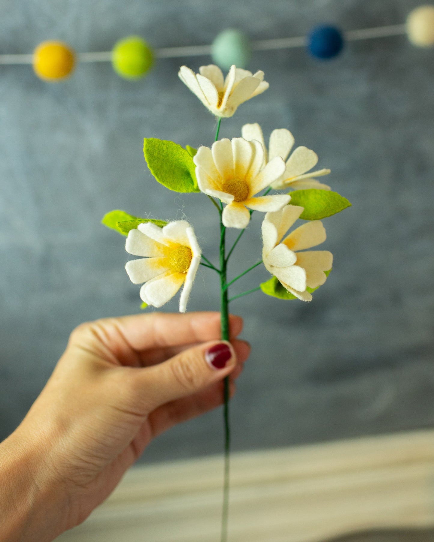 Wild Daisy Stem