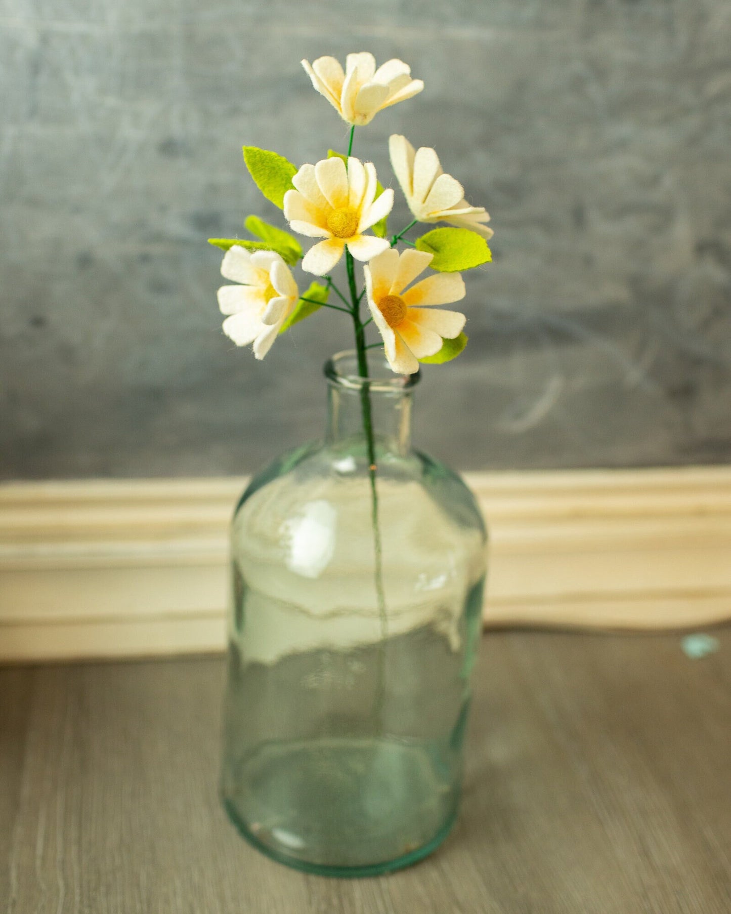 Wild Daisy Stem