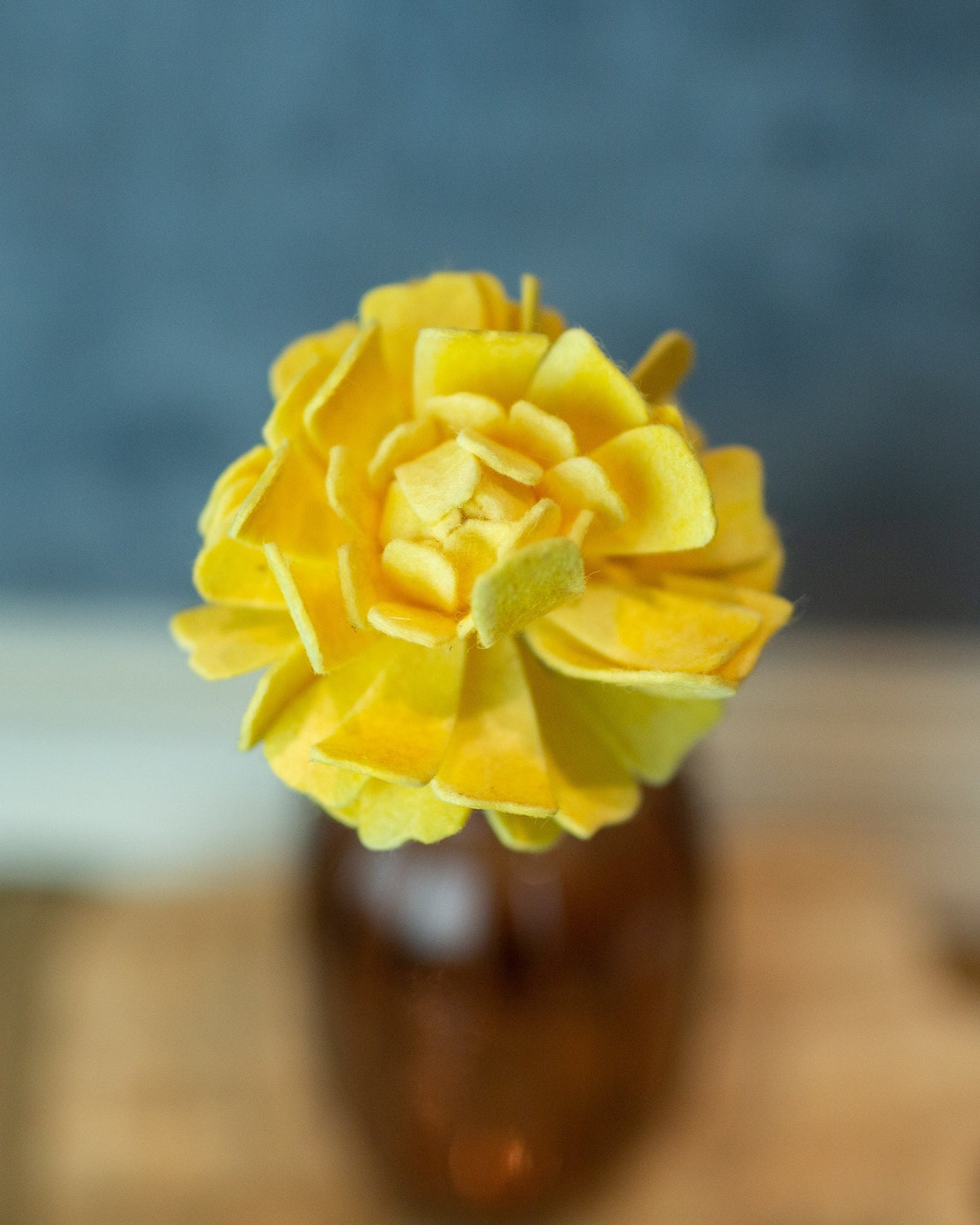 Closed Zinnia Stem