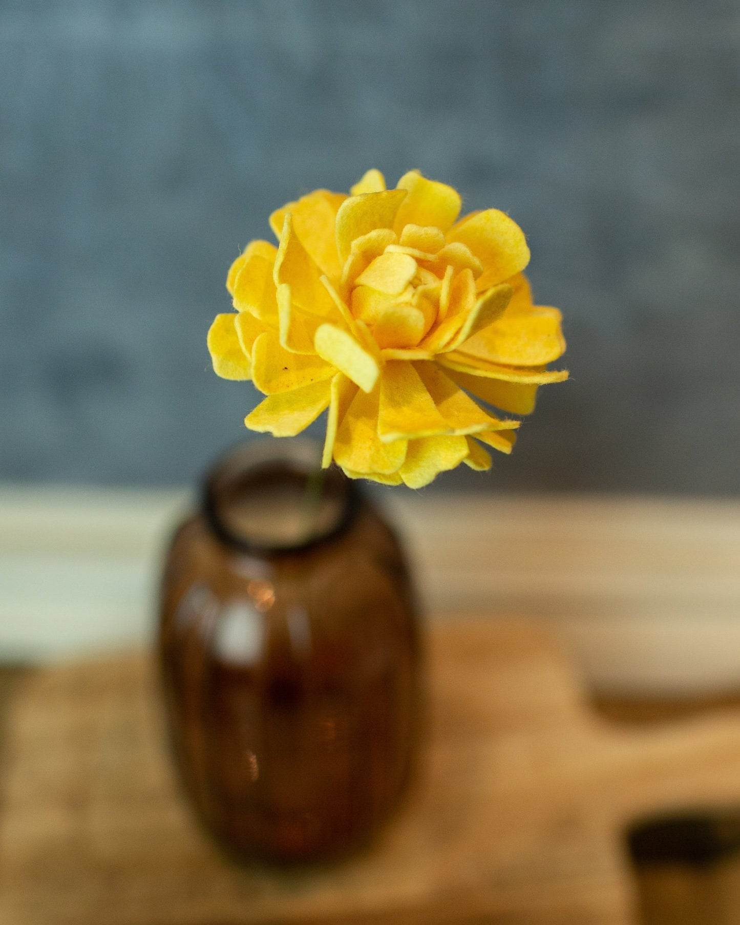 Closed Zinnia Stem