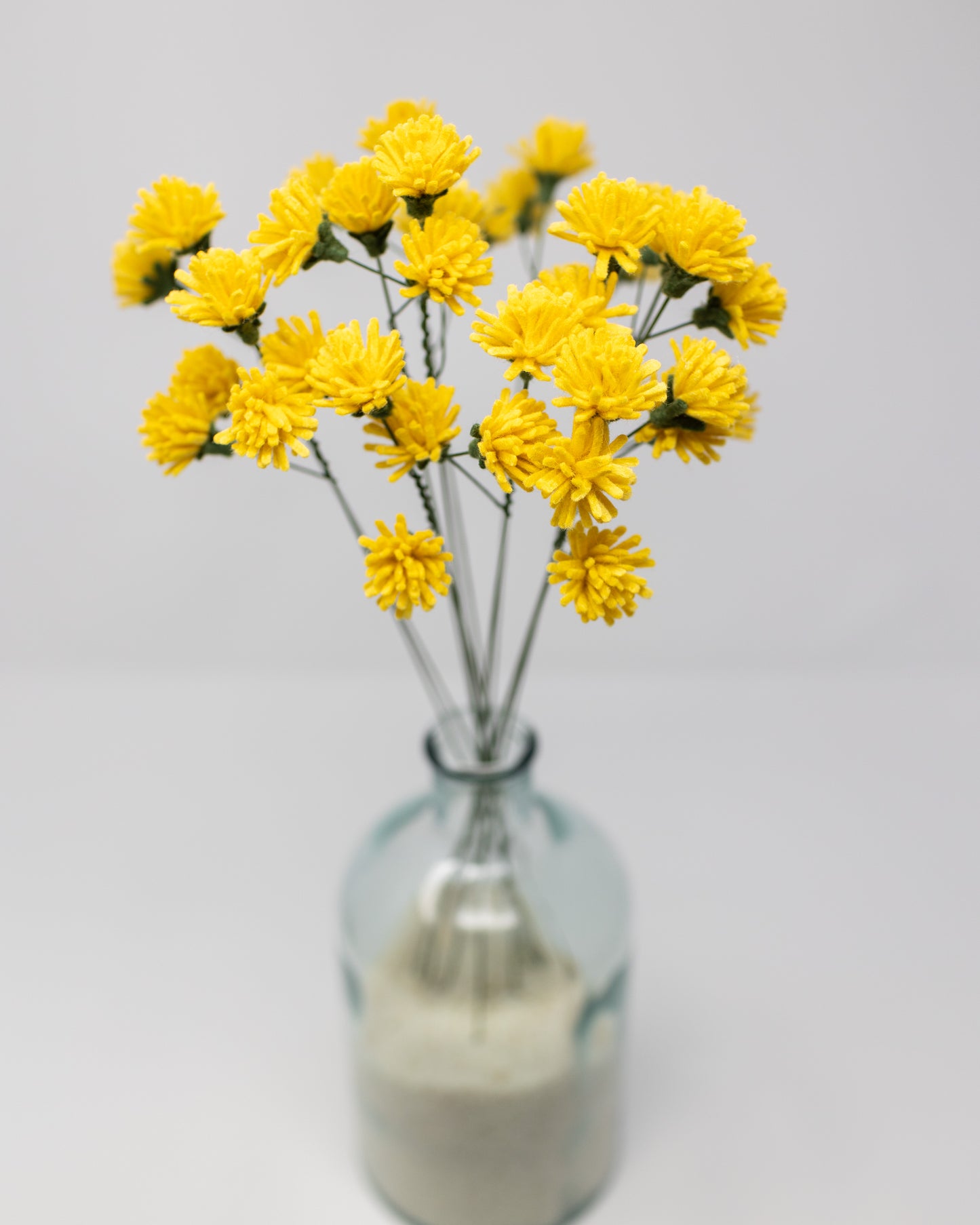 Dandelion Bunch
