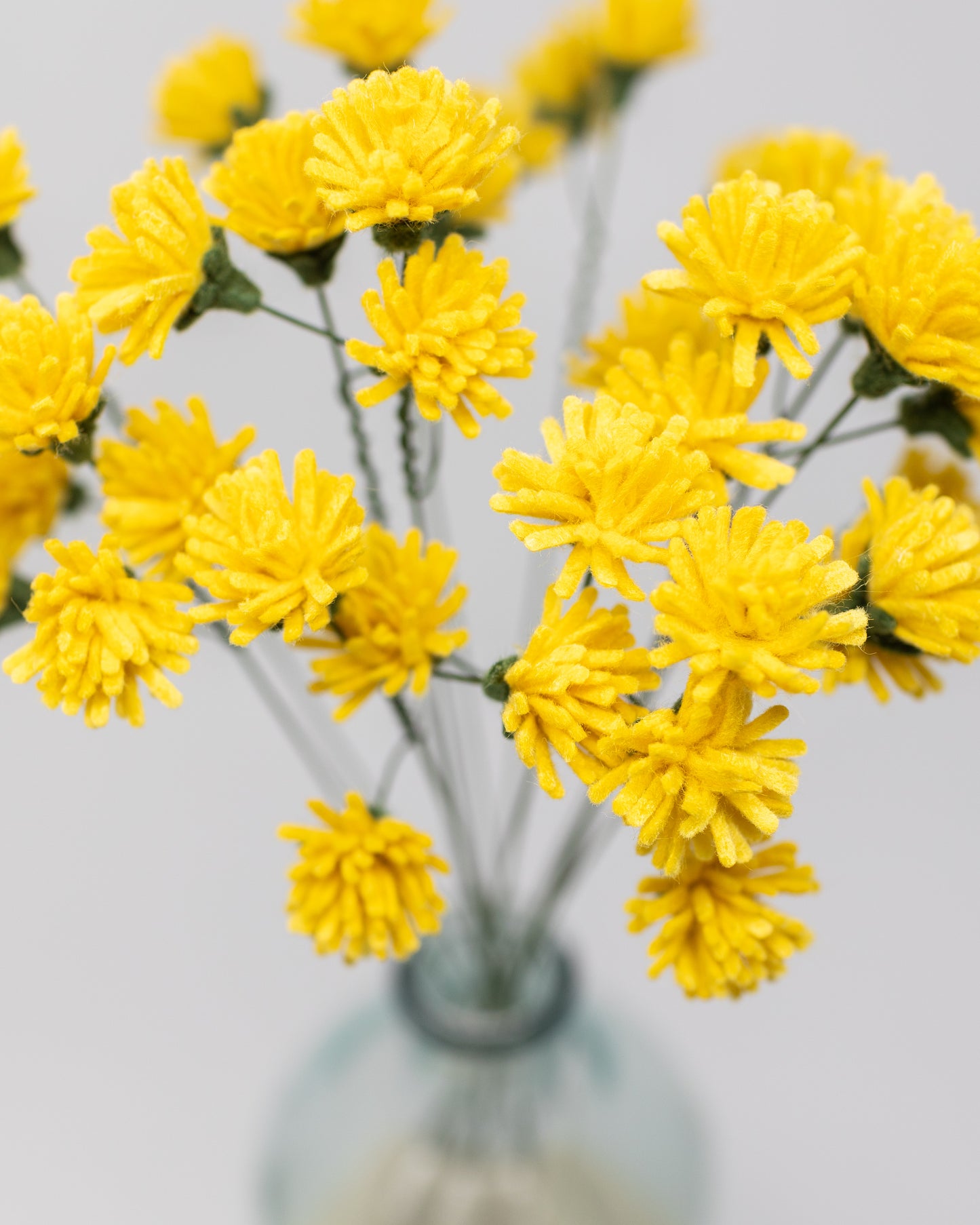 Dandelion Bunch