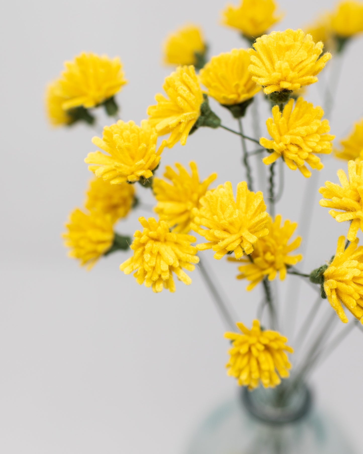 Dandelion Bunch