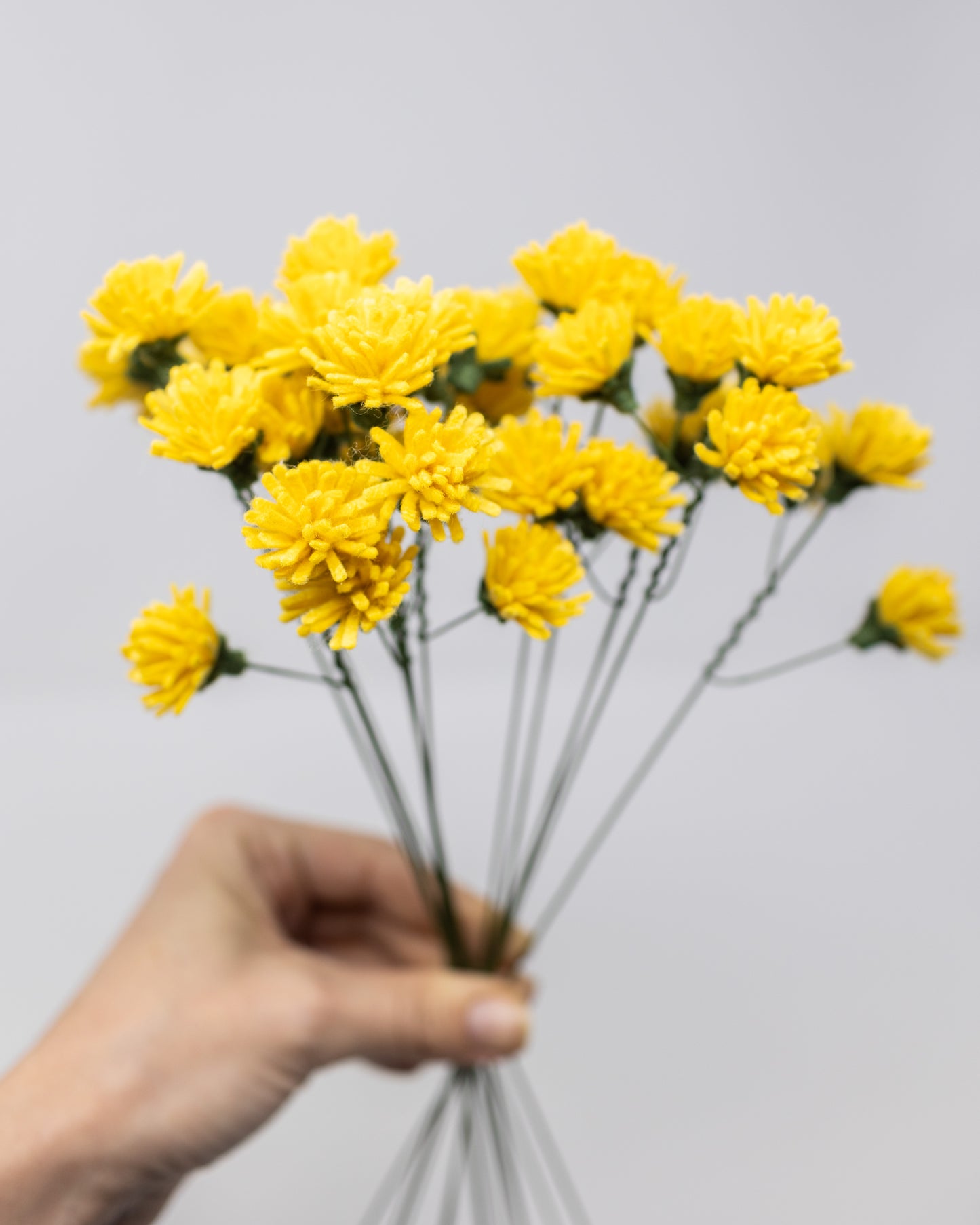Dandelion Bunch