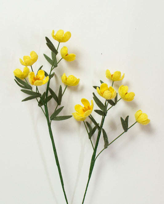 Buttercup Bunch