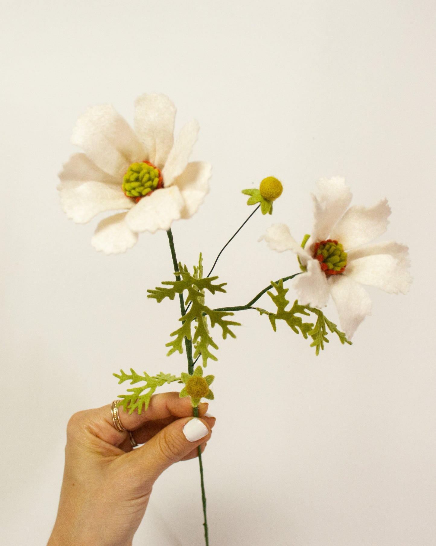 Cosmo Bunch