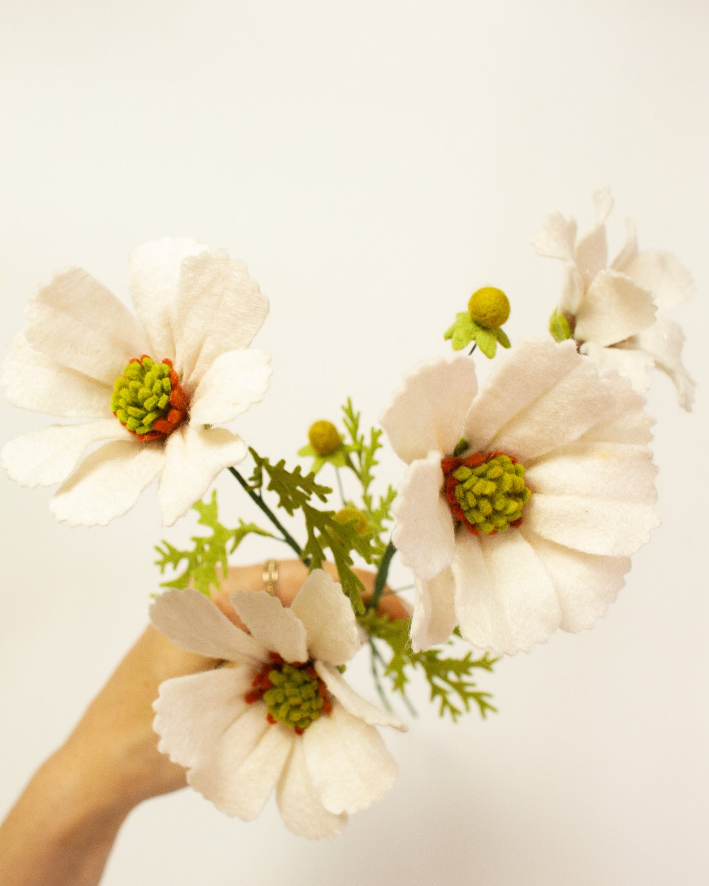 Cosmo Bunch