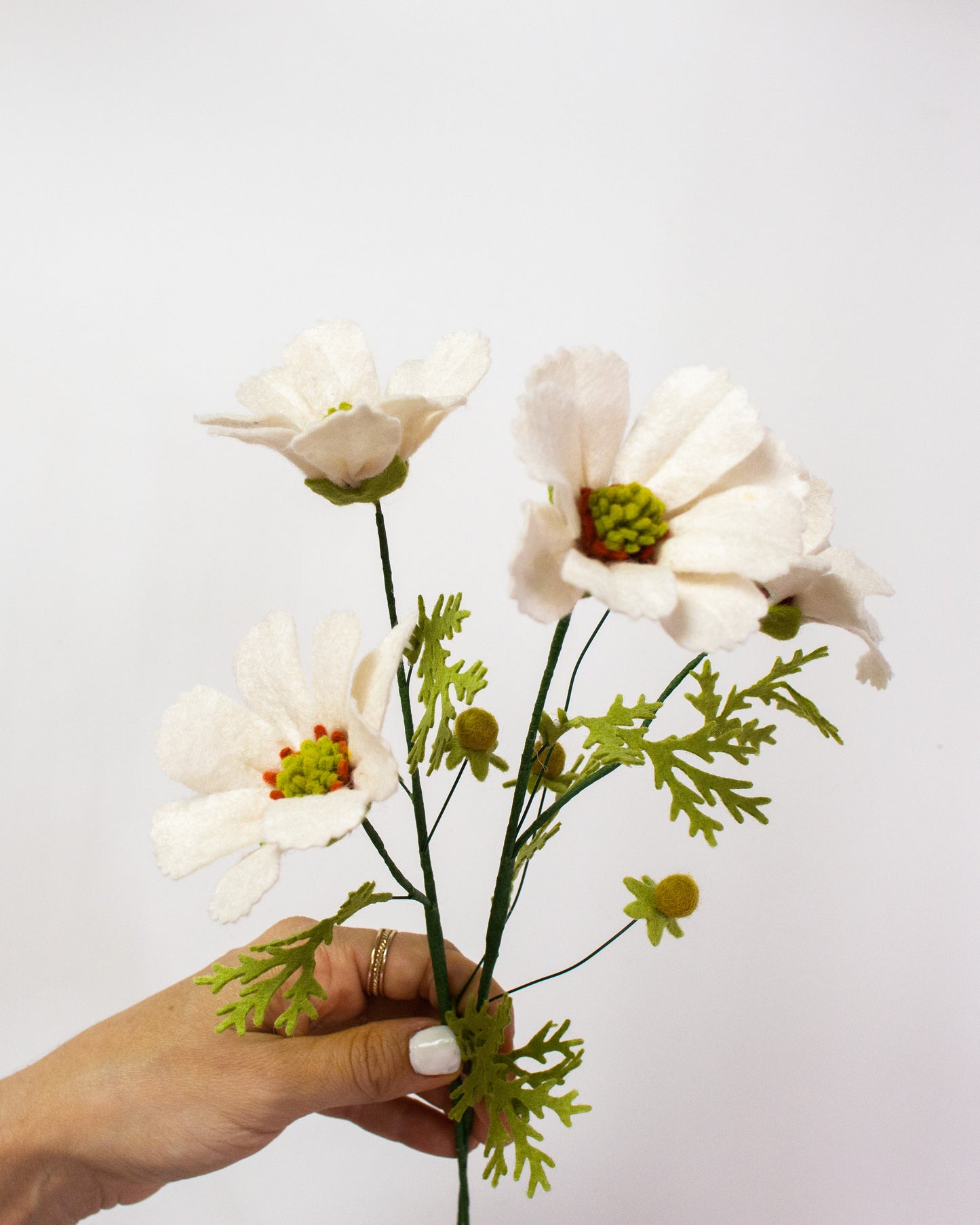 Cosmo Bunch