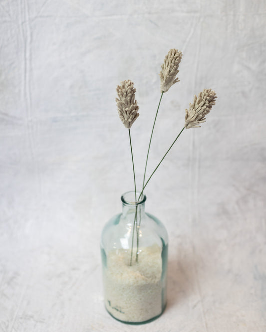 Rabbits Tale Stem