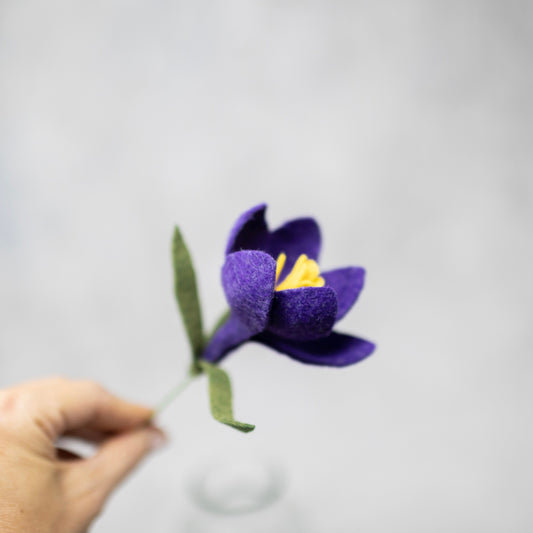 Crocus Stem