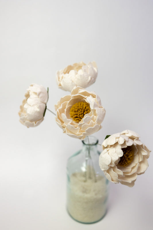 Open Peony Flower Stem