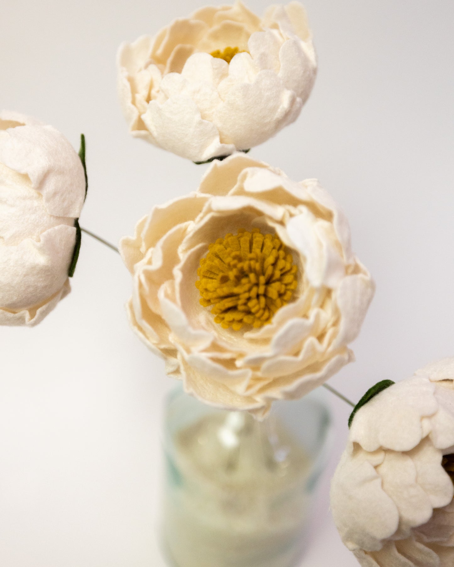 Open Peony Flower Stem
