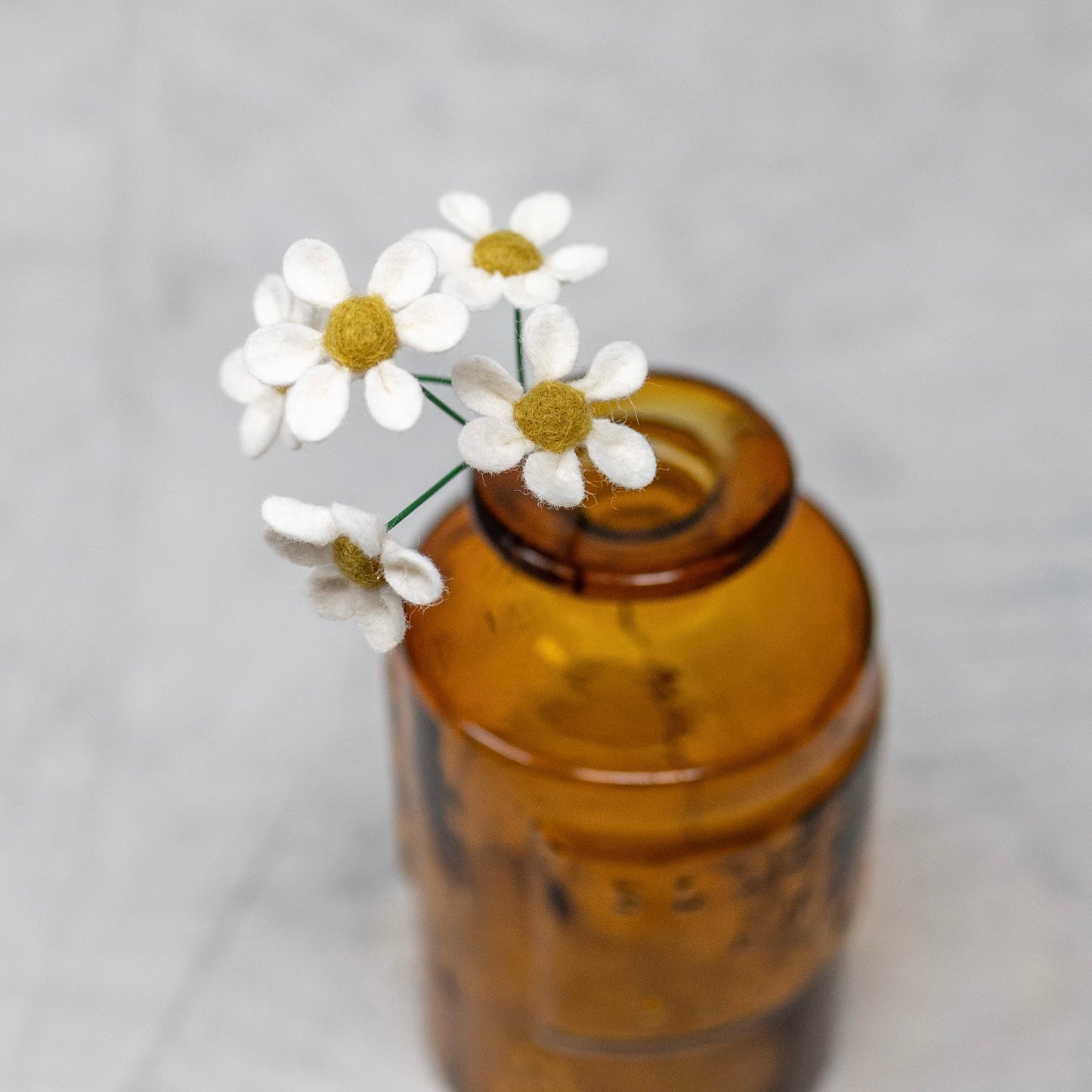 Chamomile Daisy