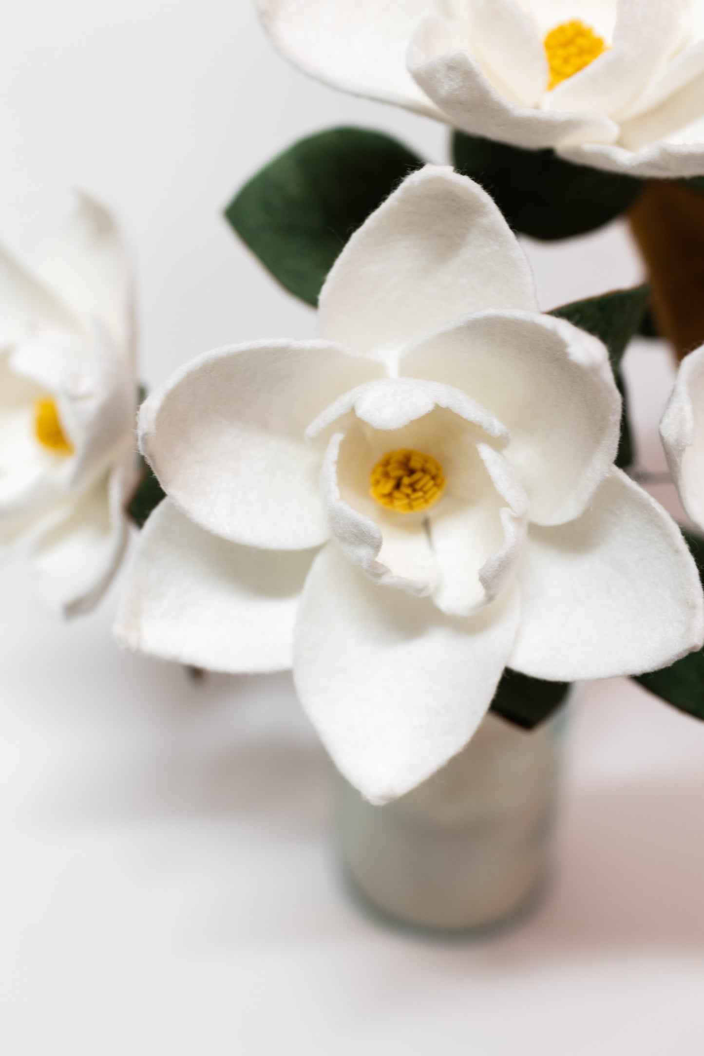 Southern Magnolia Stem