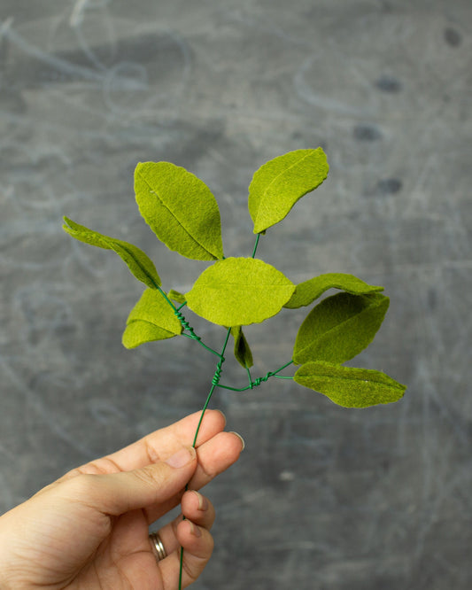 Guava Leaf Stem