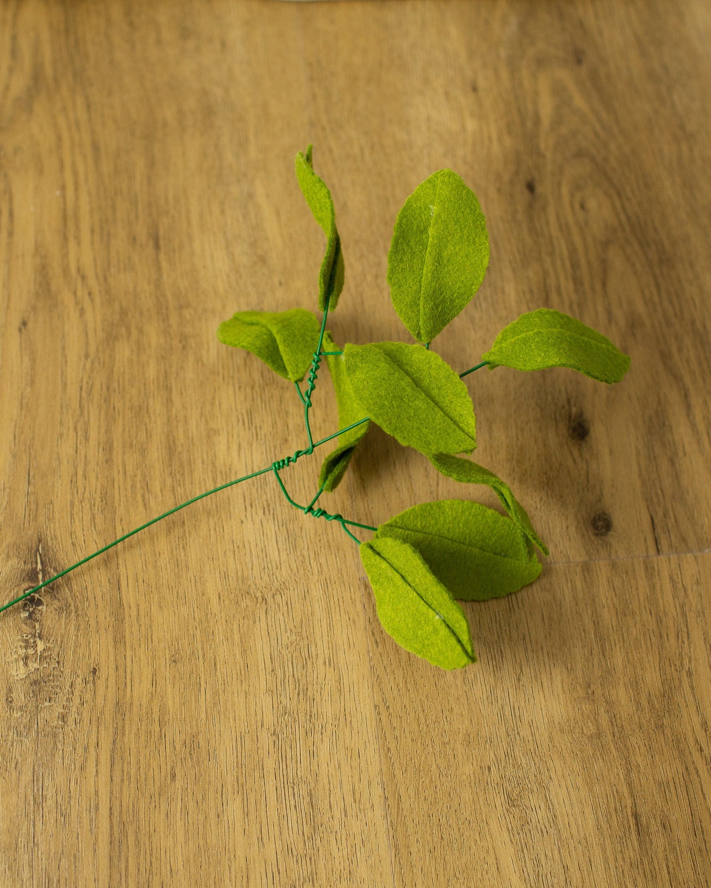 Guava Leaf Stem