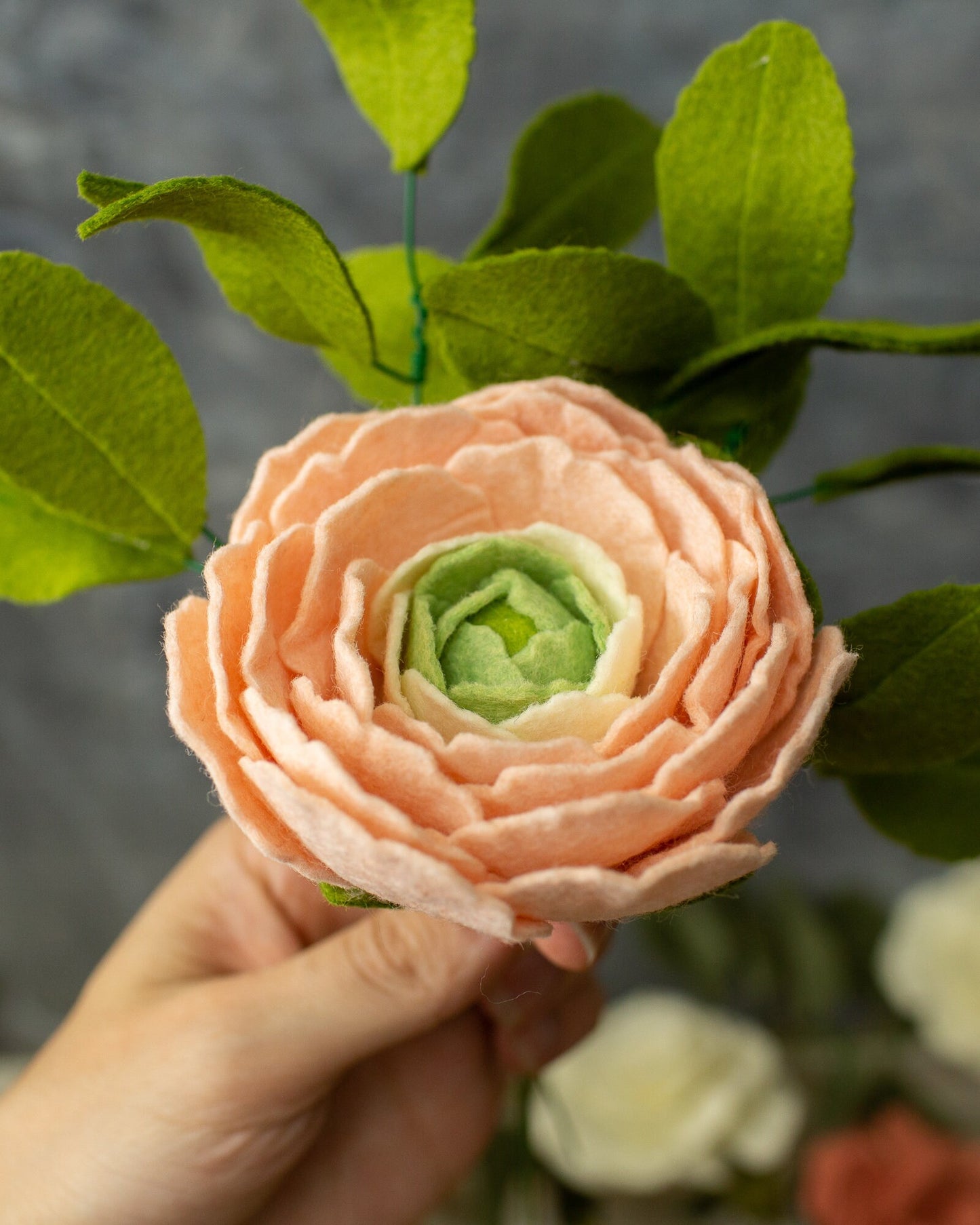 Ranunculi Flower Stem