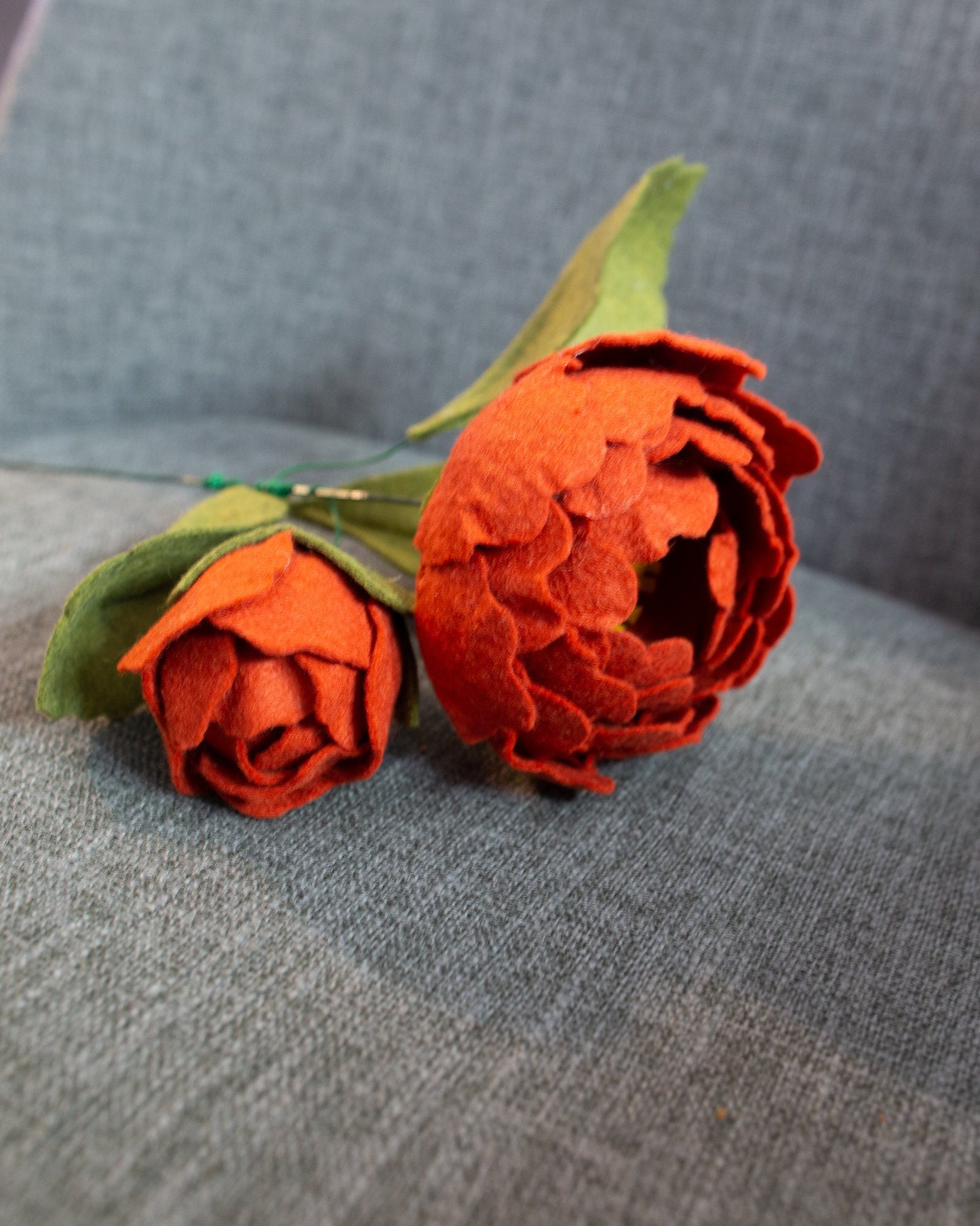 Peony With Bud