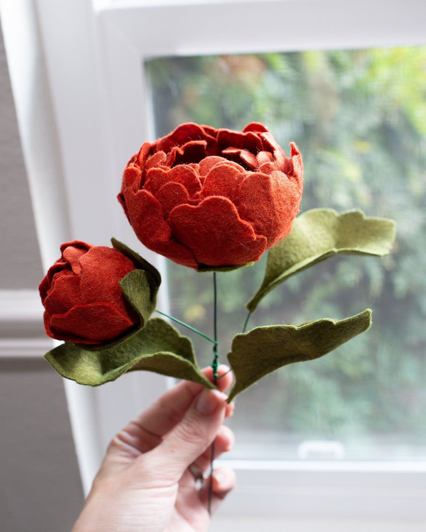 Peony With Bud
