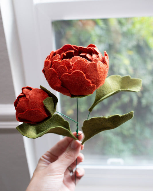 Peony With Bud