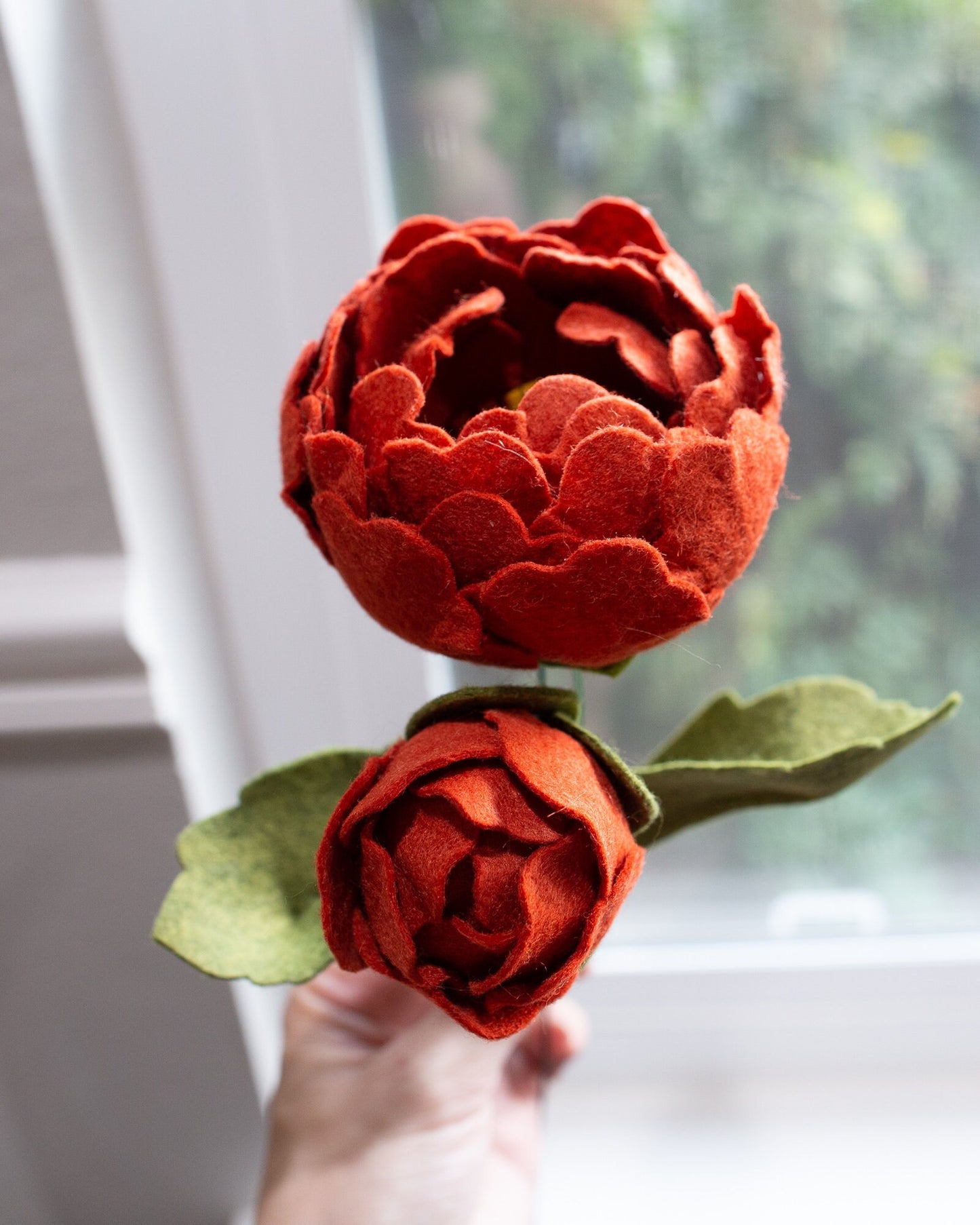 Peony With Bud