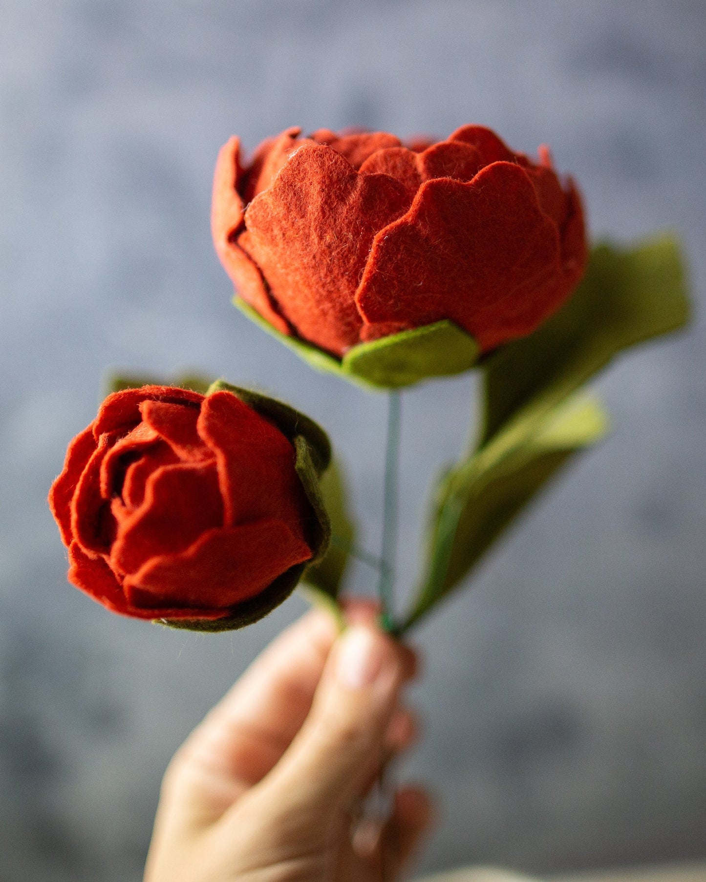 Peony With Bud