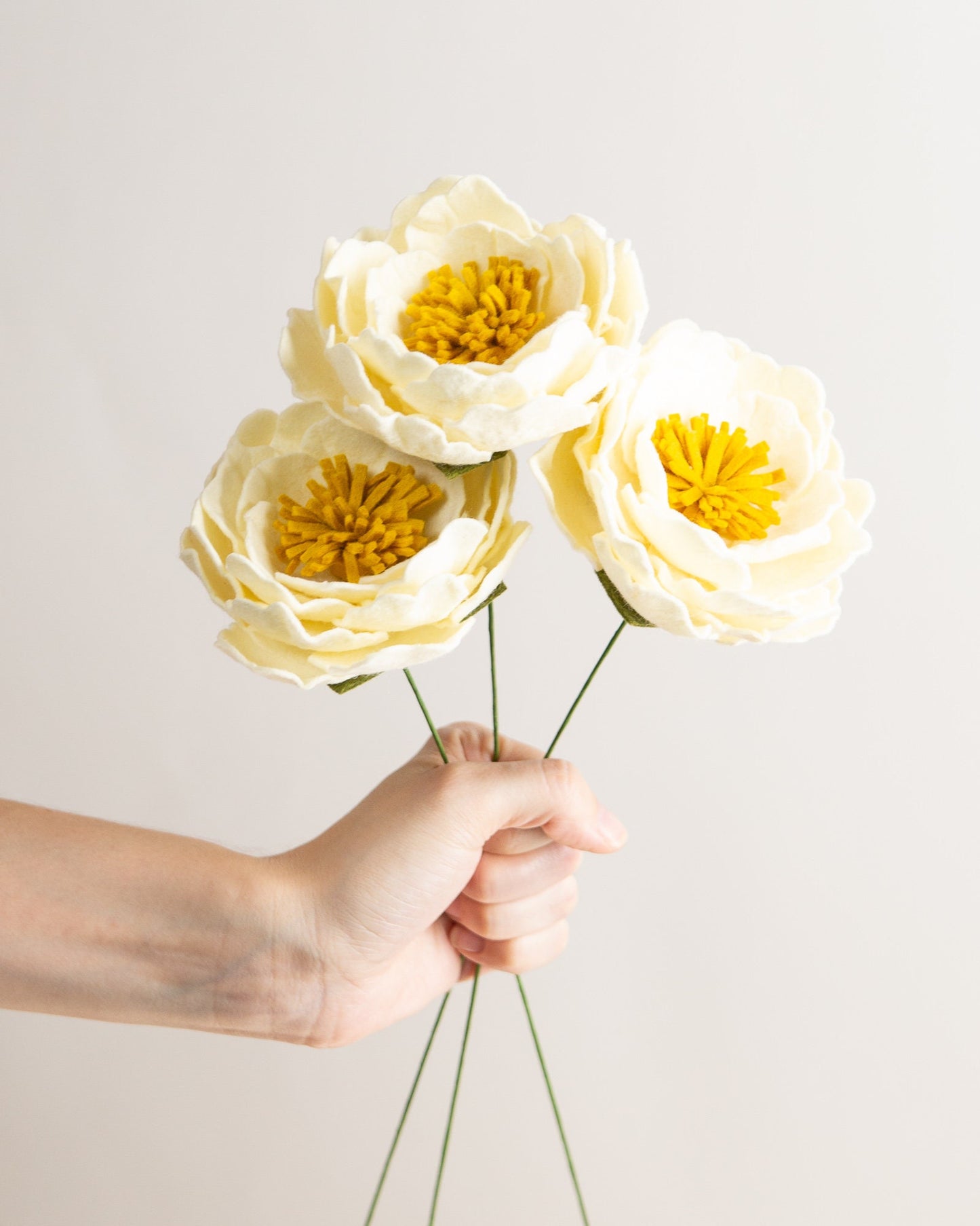 Open Peony Flower Stem