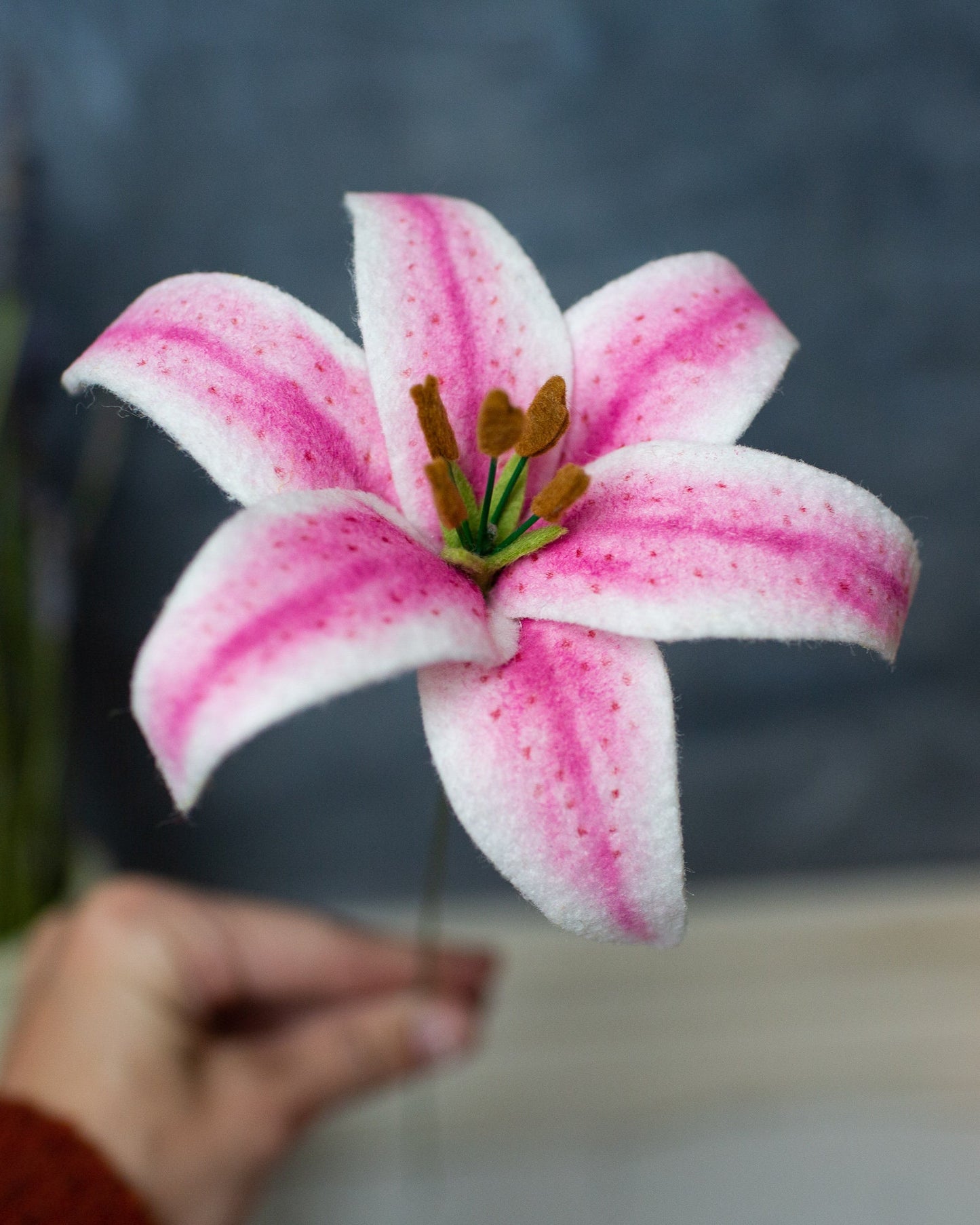 Stargazer Lily Stem