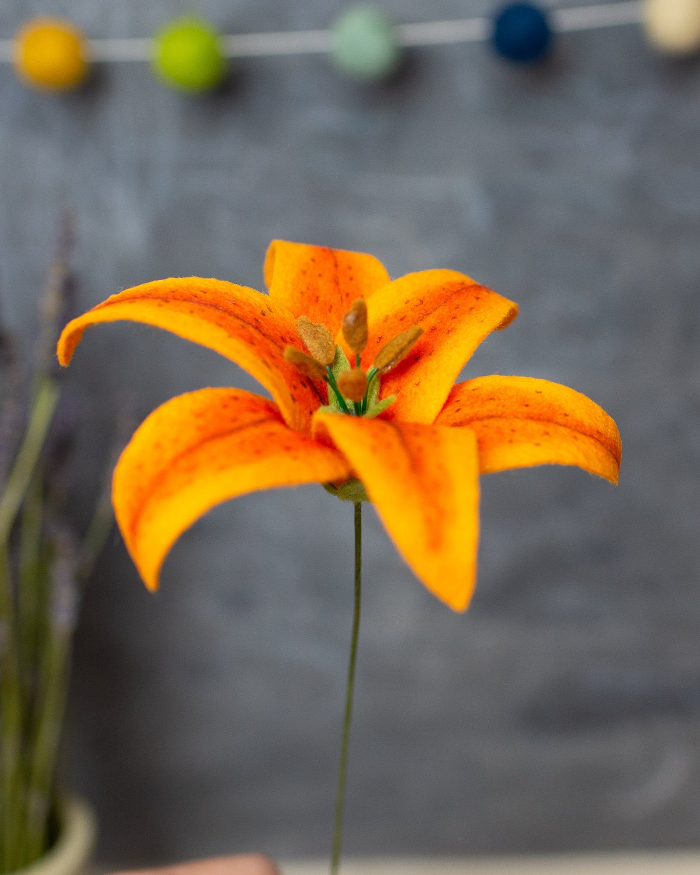 Stargazer Lily Stem