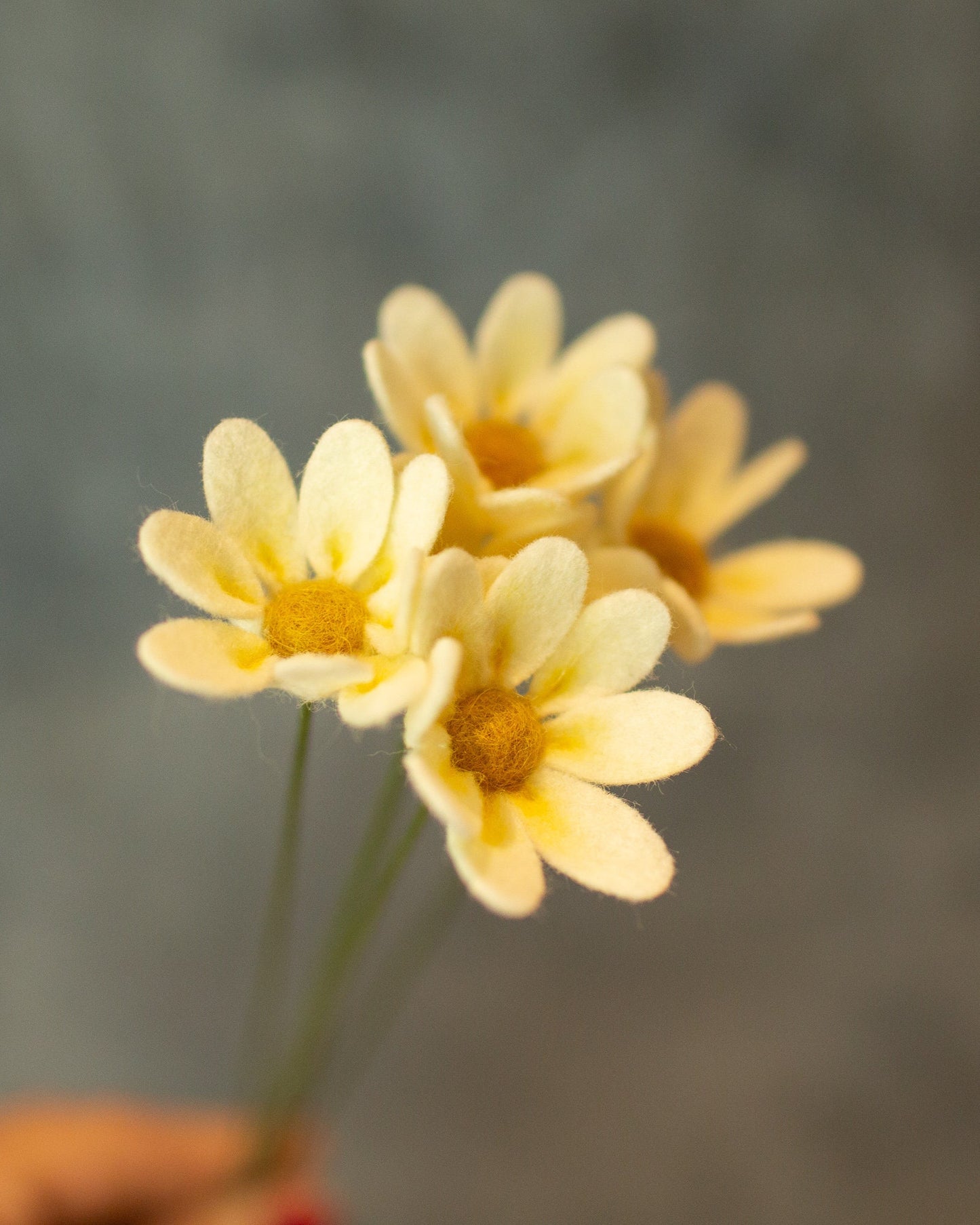 Mini Daisy Felt Flower Stem