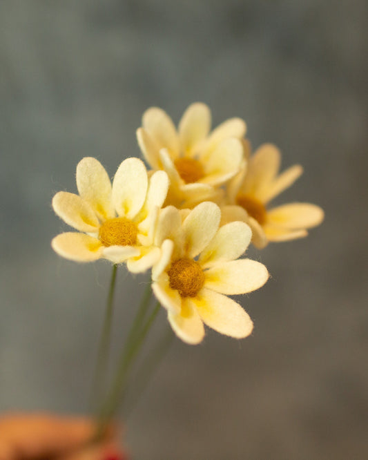 Mini Daisy Felt Flower Stem