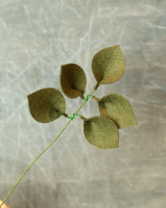 Canadian Poplar Leaf Stem