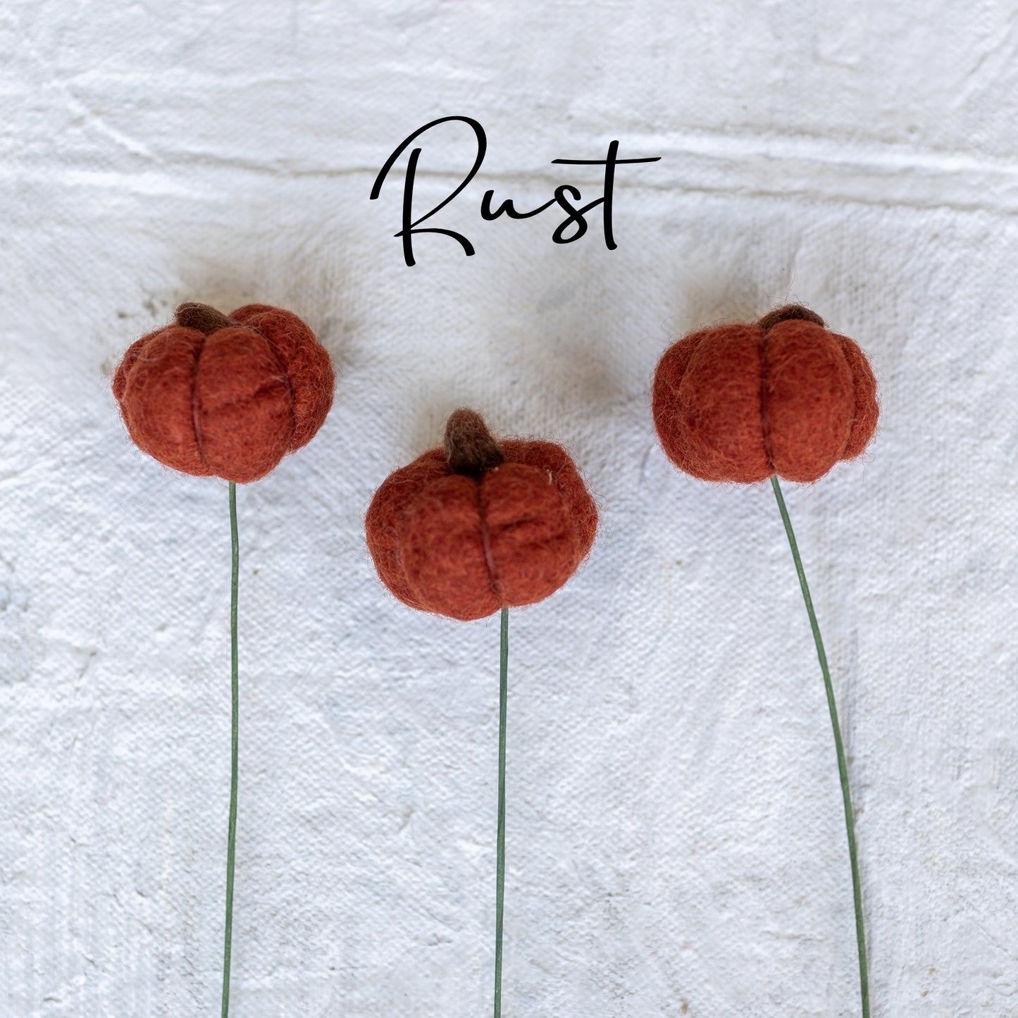 Felt Pumpkin Stem