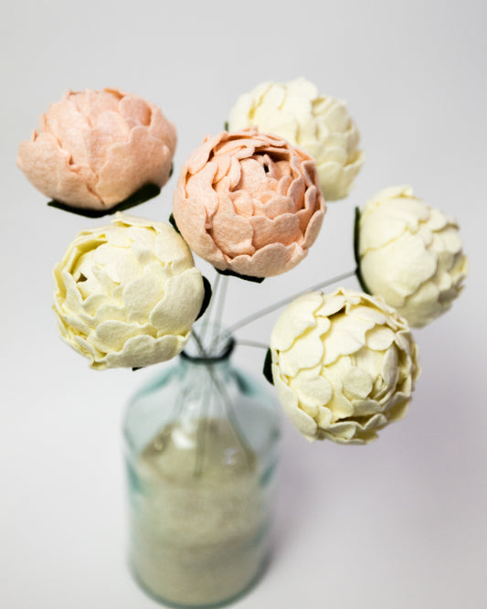 Closed Peony Flower Stem