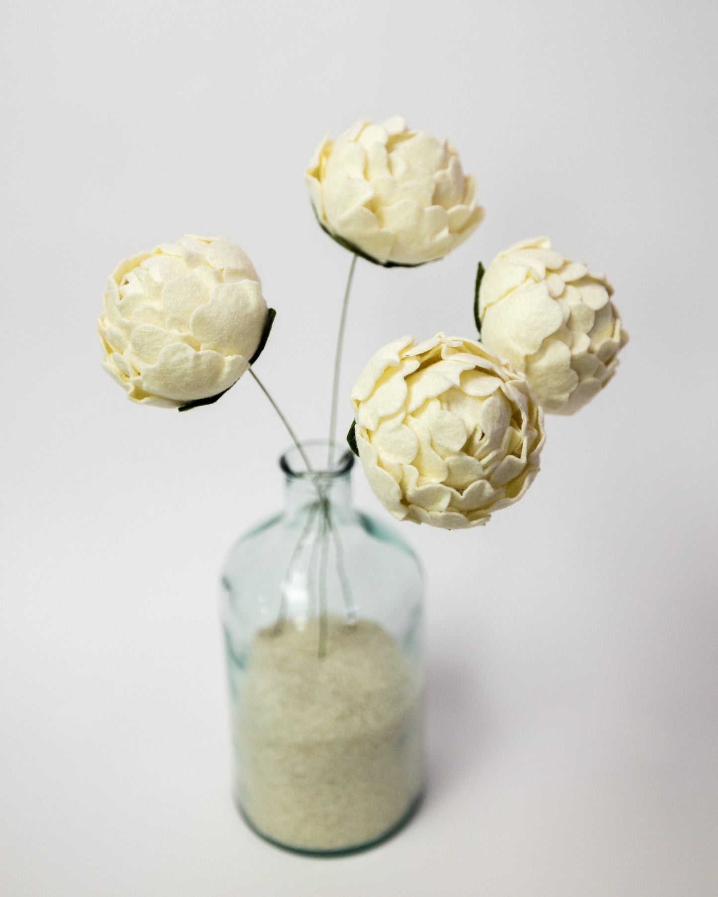 Closed Peony Flower Stem