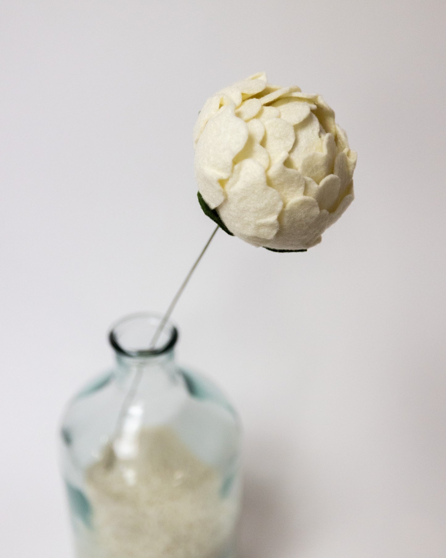 Closed Peony Flower Stem